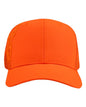 3D Buck Pro Cap 3321