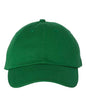 Bio-Washed Classic Dad Hat VC300A