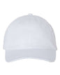 Youth Small Fit Bio-Washed Dad Hat VC300Y