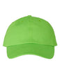 Bio-Washed Classic Dad Hat VC300A