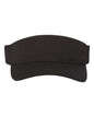 110® Visor 8110