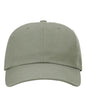 Sustainable Ashland Dad Hat 254RE