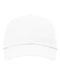 Sustainable Ashland Dad Hat 254RE